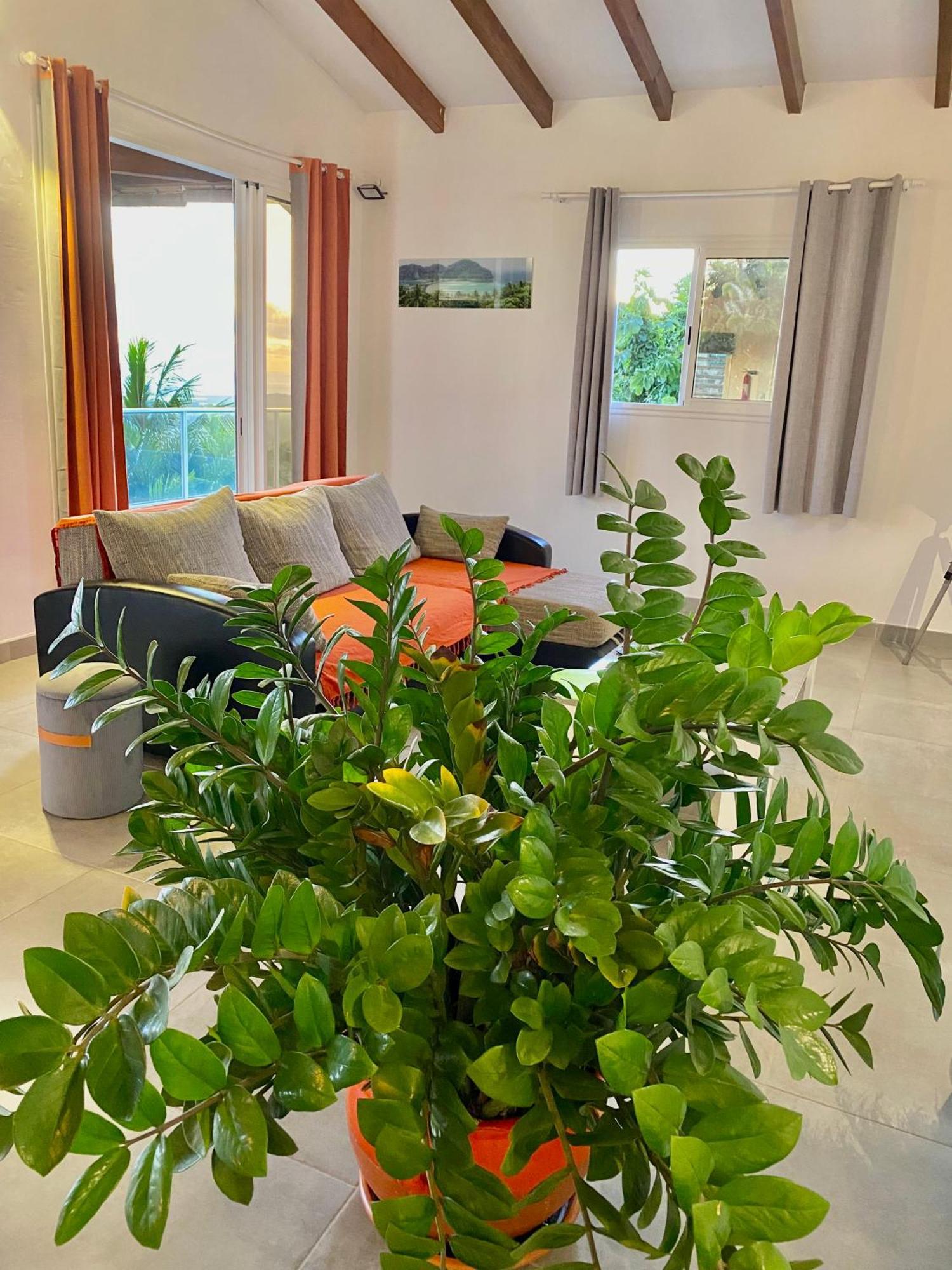 Les Villas Pameyaque 2 F2 Avec 1 Piscine Et 1 F3 Avec 1 Piscine, Superbe Vue Sur La Mer Riviere-Salee Exterior foto